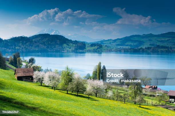 Idyllic Swiss Country Mountain Landscape With Farms Lake And Mountains In The Distance Stock Photo - Download Image Now