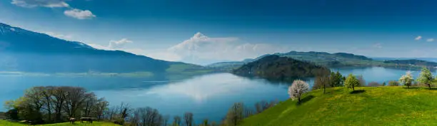 beautiful panorama landscape with green fields and blossoming flowers and trees and mountains in the background in central Switzerland on Lake Zug