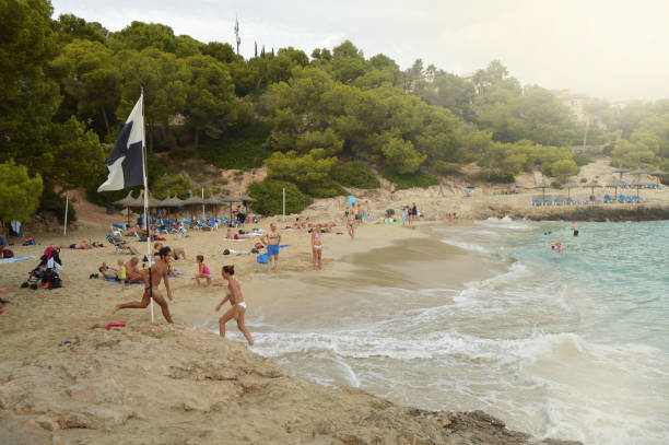 blick auf den strand von palma de mallorca mit menschen, die auf dem sand liegen und im blauen wasser schwimmen. - ochre sea star stock-fotos und bilder