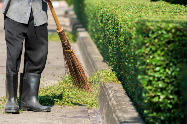 Gardener  sweeping the branches that  cut and decorated on the road.