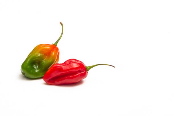 istock Sweet vegetable pepper on white background 1145868860
