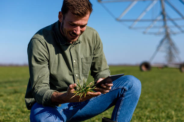 istock Young farmer standing in wheat field and setup irrigation system on tablet. 1145870502