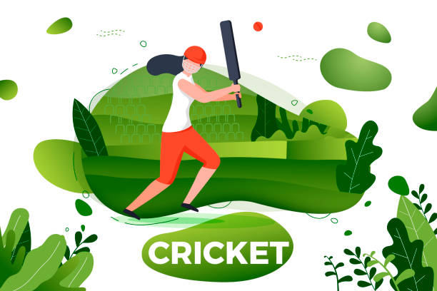Vector illustration - sporty girl playing cricket Vector illustration - sporty girl playing cricket. Court, park, trees and hills on green background. Banner, site, poster template with place for your text. cricket team stock illustrations
