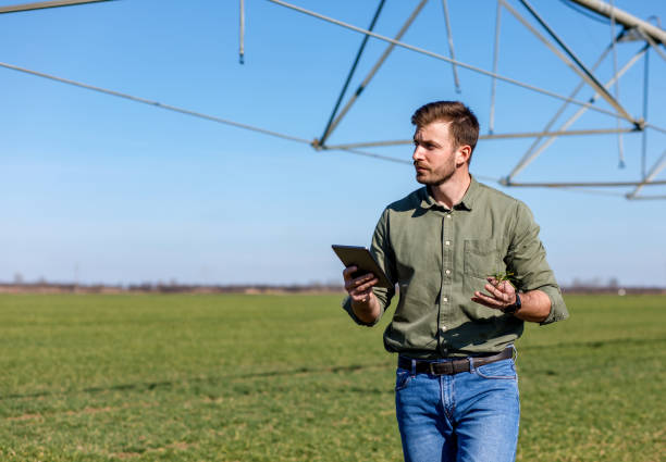 istock Young farmer standing in wheat field and setup irrigation system on tablet. 1145870661