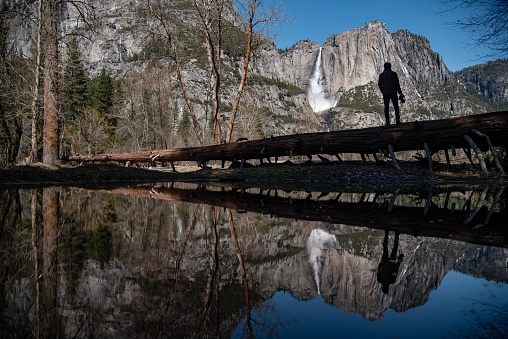 Reflection of Young Asian man photographer and traveler standing on the log enjoy looking at Yosemite falls in Yosemite national park, famous natural attraction in California, USA