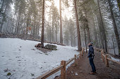 Asian man tourist and photographer walking in the forest while snowing in in Mariposa Grove, located in Yosemite National Park, California. USA. Travel natural attraction in winter season.