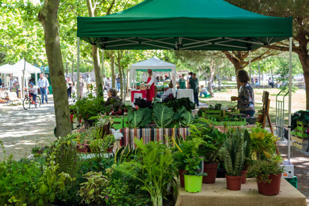 현지 농민 시장 - farmers market market farmer community 뉴스 사진 이미지