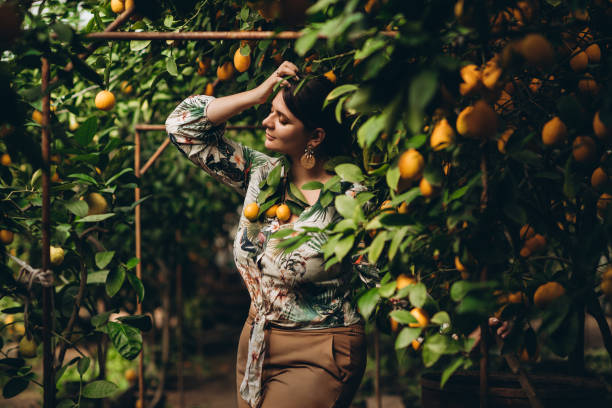 istock Woman among plants in lemon gardens 1145875299