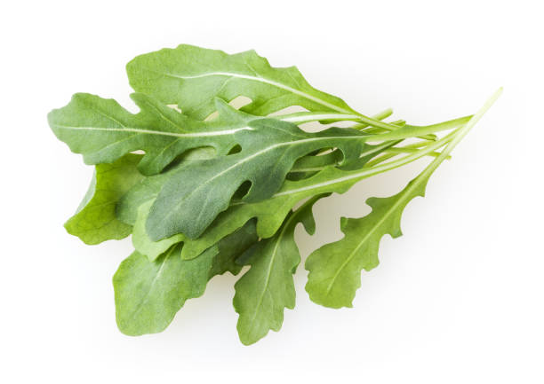 istock Heap of fresh arugula leaves isolated on white background 1145876134
