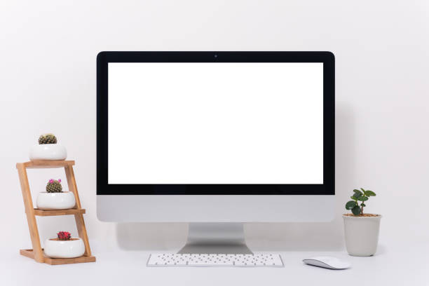 istock All in one computer, mouse, keyboard,  cactus pots and plant vase  on white background 1145877278