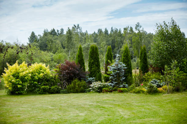 Private garden in the counryside