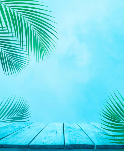 istock Empty of blue wood table top with coconut leaf on soft sky background.For montage product display or design keyvisual layout 1145879202