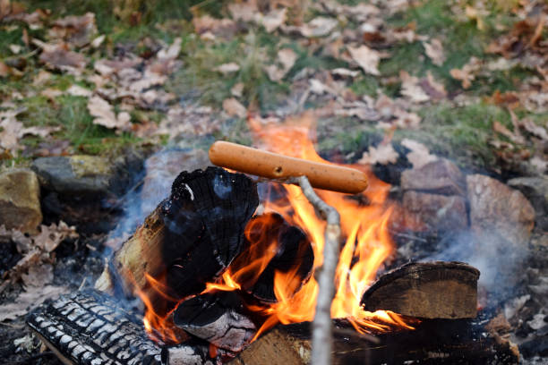 istock Hot dog on a stick over bonfire in the forest 1145880707