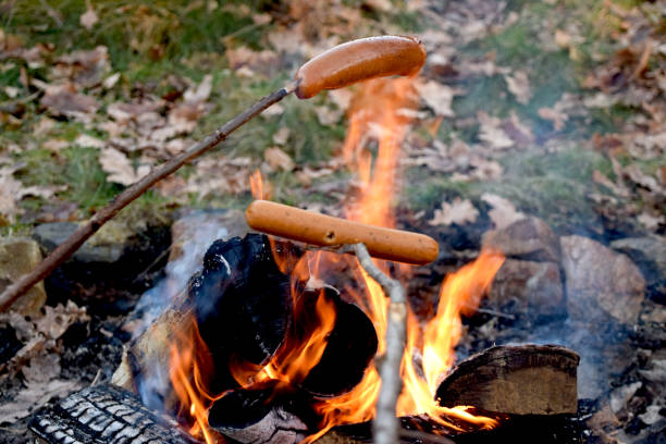 istock Chorizo and Hot dog on stick over bonfire in the forest 1145880708