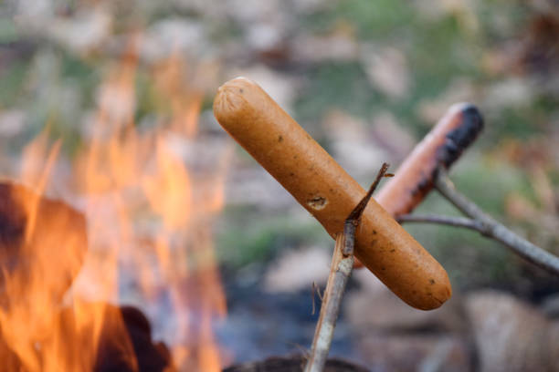 Sausage barbeque taking place outdoors with hot dog on a stick over bonfire. Photo taken in Putsered, Sweden