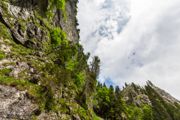 istock Dramatic cloudscape and mountain scenery in the Transylvanian Alps in summer, with rain clouds 1145880735