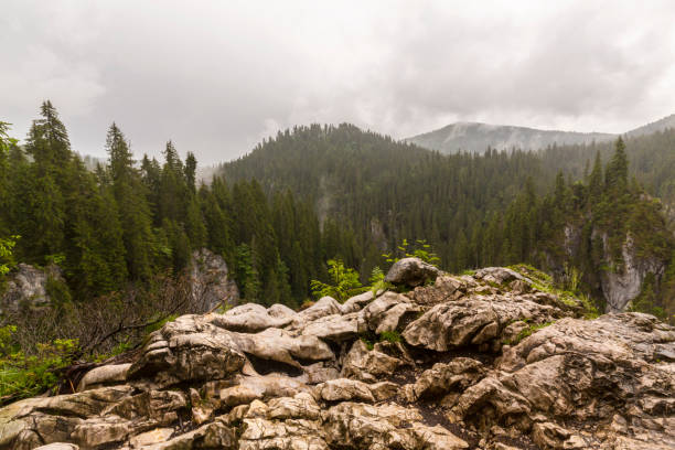 istock Dramatic cloudscape and mountain scenery in the Transylvanian Alps in summer, with rain clouds 1145880785
