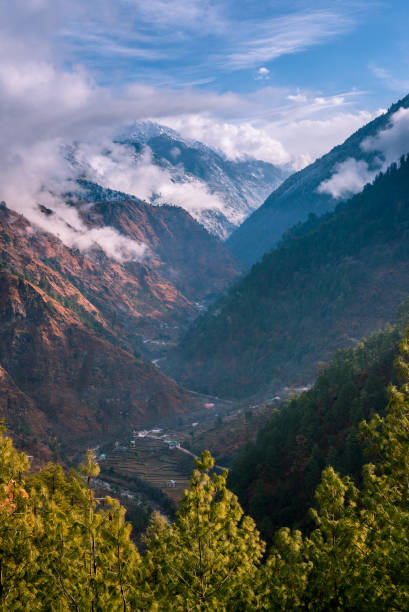 Landscape in Himalayas surrounded by deodar tree Landscape in Himalayas surrounded by deodar tree - India lahaul and spiti district photos stock pictures, royalty-free photos & images