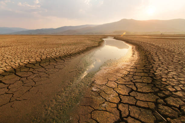 lago y río secos en verano y concepto de cambio climático. - seco fotografías e imágenes de stock