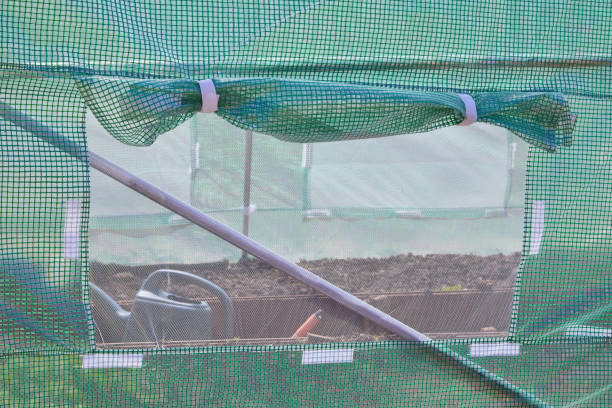 Greenhouse with gable roof, garden bed for cultivation of growing plants. Horticultural conservatory for vegetables and flowers. Greenhouse cultivate gardening.