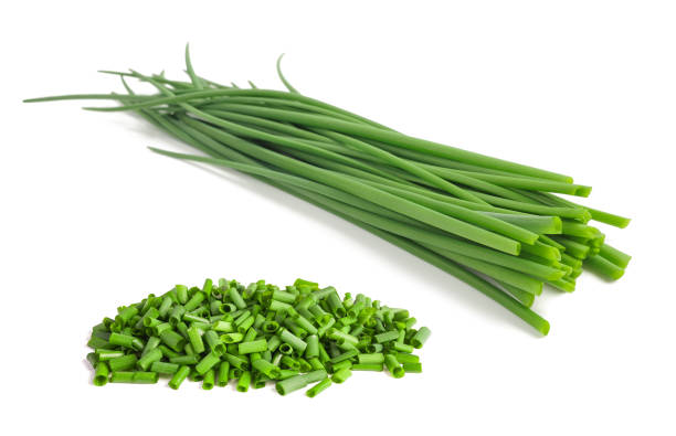 erba cipollina - chive herb isolated freshness foto e immagini stock