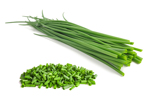 Chives bunch and chopped chives  isolated on white background