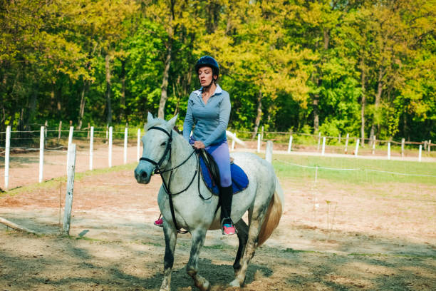 istock Extended trot dressage 1145885082