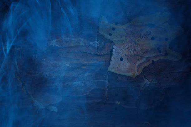 vari motivi naturali sulla corteccia di un pino coperto di nebbia notte blu concetto mistici e halloween - mystics foto e immagini stock