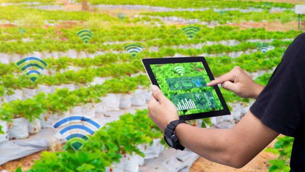 istock Smart farming argriculture concept. 1145887320
