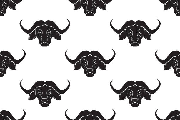 illustrations, cliparts, dessins animés et icônes de modèle sans soudure de tête de buffle noire dessinant sur le fond blanc - animal skull cow animal black background