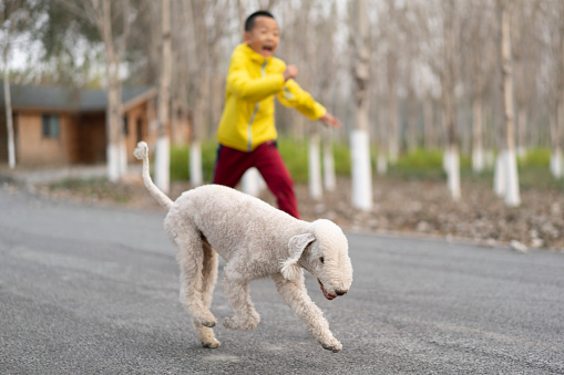My dog and son are running together.