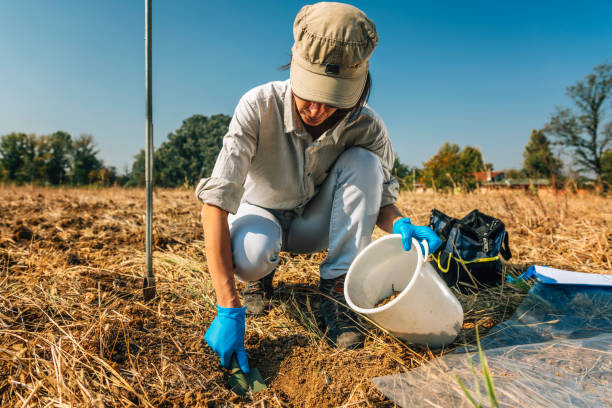 analisi della fertilità del suolo. agronoma femmina che prese prende campioni di terreno - dirt scientific experiment soil sample environment foto e immagini stock