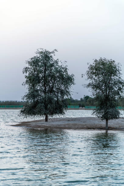 istock Al Qadra Water Lake Dubai, UAE 1145890333