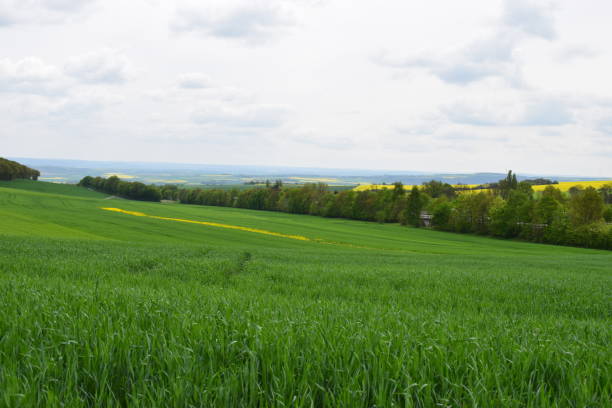 istock green hills of rural Eifel 1145893456