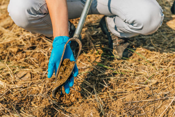 campionamento del suolo.  agronomo che prende campione con campionatore sonda suolo - dirt scientific experiment soil sample environment foto e immagini stock