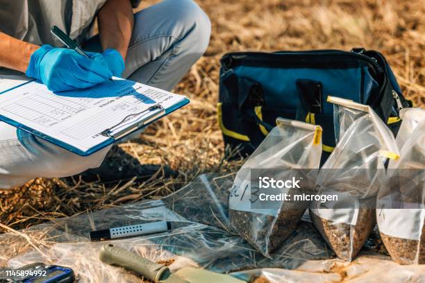 Soil Test Female Agronomist Taking Notes In The Field Stock Photo - Download Image Now