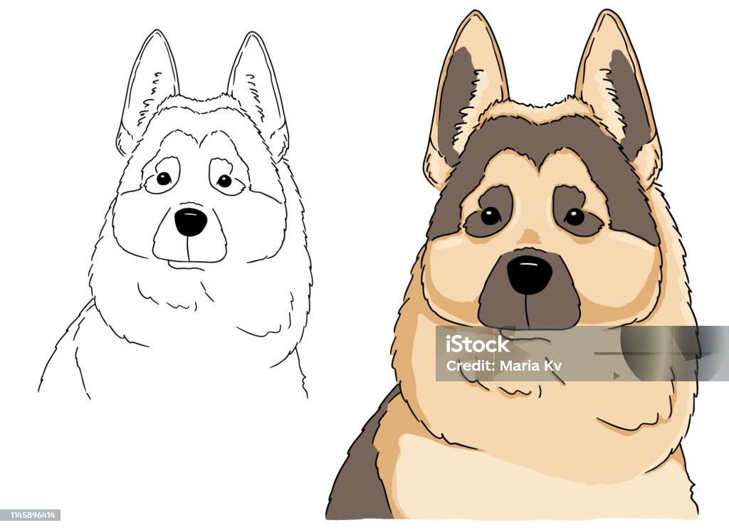 Sketch Portrait of a beautiful German Shepherd. Illustration of german shepherd head freehand drawing. Vector art good for coloring book for children. Sketch Portrait of a beautiful German Shepherd. Illustration of german shepherd head freehand drawing. Vector art good for coloring book for children. Animal sketch. Animal stock vector
