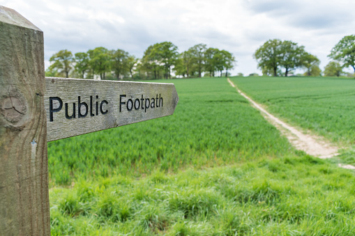 Close up view of a public footpath sign in Surrey, UK. The fingerpost points to a muddy path crossing a field to trees in the distance under a cloudy sky, taken with a shallow depth of field.
