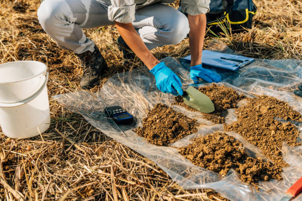 istock Soil Fertility Analysis. Female Agronomist Taking Soil Samples 1145896814