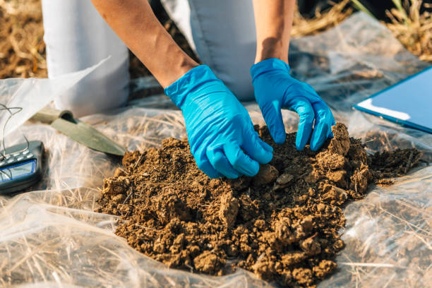 ispettore per la certificazione del suolo organico che prende il campione - dirt scientific experiment soil sample environment foto e immagini stock