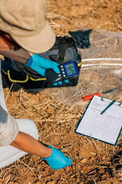 istock Soil Thermometer. Female Agronomist Measuring Soil Temperature 1145898781