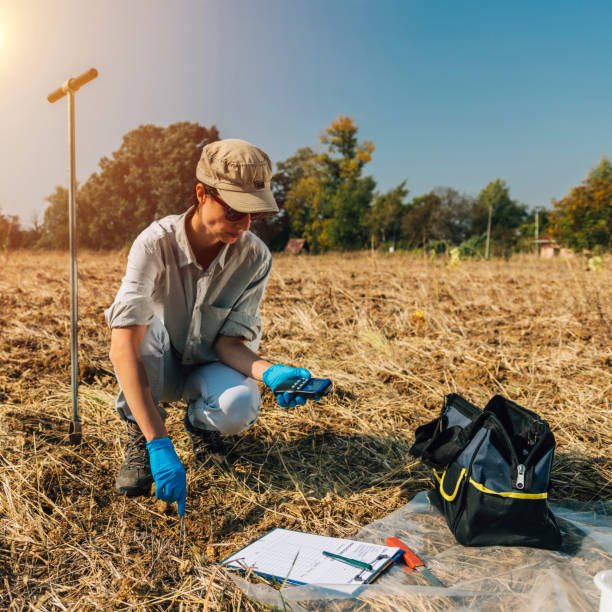 istock Soil Thermometer. Female Agronomist Measuring Soil Temperature 1145898984