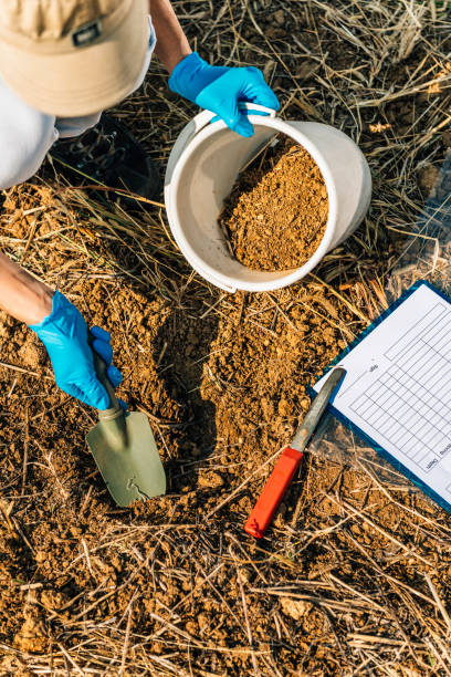 Soil Testing. Agronomy Inspector Taking Soil Sample Soil Testing. Agronomy Specialist taking soil sample for fertility analysis. Hands in gloves close up.  Environmental protection, organic soil certification, field work, research soil tester stock pictures, royalty-free photos & images