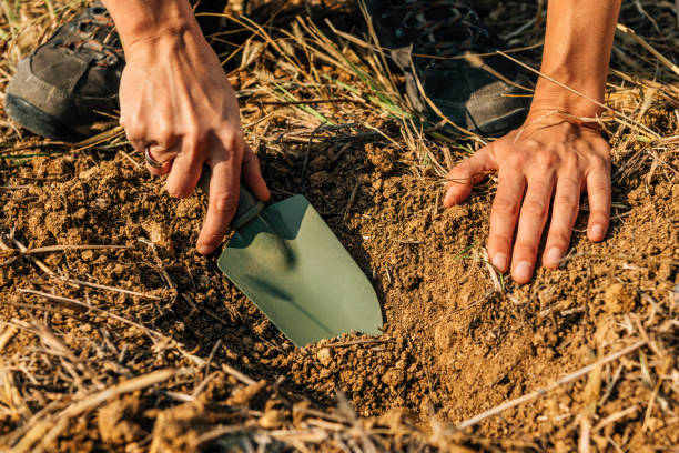 istock Soil Fertility Analysis. Female Agronomist Taking Soil Samples 1145900056