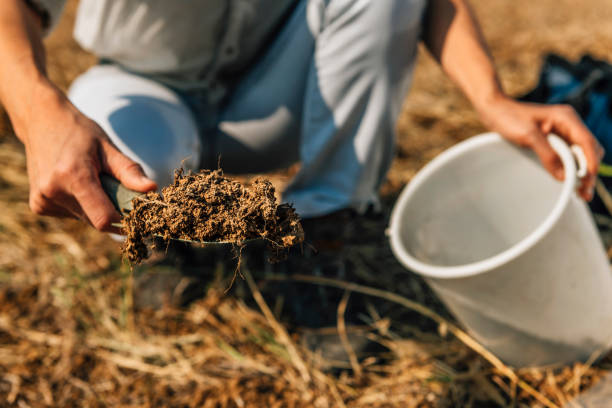 analisi della fertilità del suolo. agronoma femmina che prese prende campioni di terreno - dirt scientific experiment soil sample environment foto e immagini stock