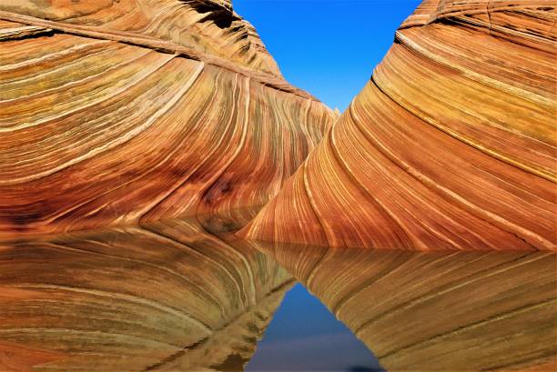 The WAVE with Multiple Water Reflections Coyote Buttes Vermilion Cliffs National Monument Arizona Utah USA The WAVE with multiple water reflections Coyote Buttes Vermilion Cliffs National Monument Arizona Utah USA.  After rain pools of water everywhere providing many unusual abstract images in the reflections. coyote buttes stock pictures, royalty-free photos & images