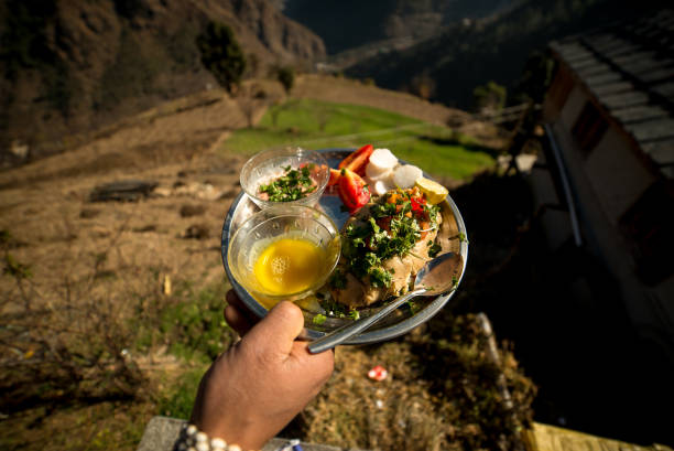 Siddu - Mouth watering and authentic Himachali food over blured mountain background Siddu - Mouth watering and authentic Himachali food over blured mountain background - India himachal pradesh photos stock pictures, royalty-free photos & images