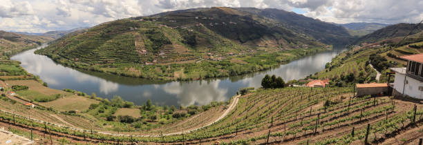 istock Douro valley in Portugal 1145902079