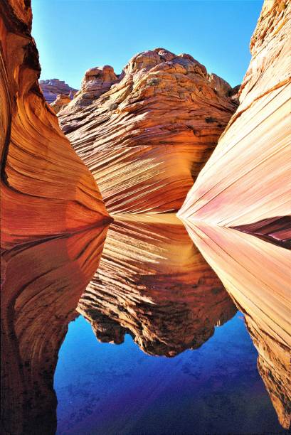 The WAVE with Water Reflections #1 Verticle in Coyote Buttes area of Vermilion Cliffs National Monument on Arizona Utah border USA The Wave with water reflections in verticle image in Coyote Buttes area of Vermilion Cliffs National Monument on Arizona Utah border in USA.  Surreal enviroment.  Other worldly.  Sand dune layers turned to stone.  Reflection pools everywhere after heavy rain.  Abstract images can be found all over. red rocks landscape stock pictures, royalty-free photos & images