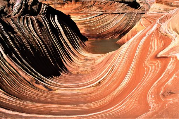 the wave with wide view in coyote buttes area of vermilion cliffs national monument in arizona utah usa - rock strata natural pattern abstract scenics imagens e fotografias de stock